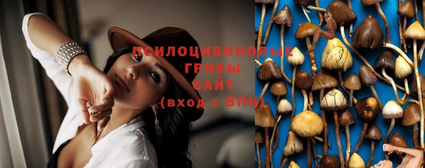молекула духа Наволоки