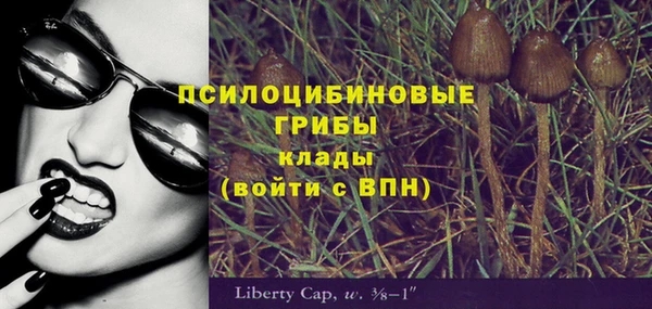 молекула духа Наволоки