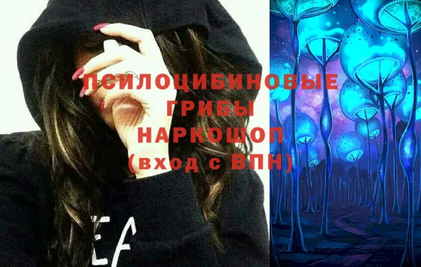 молекула духа Наволоки